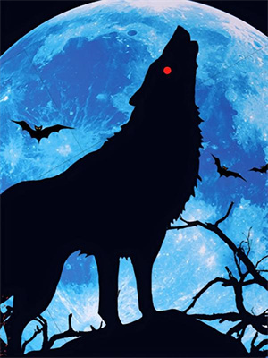 穿越後一心修仙完整版